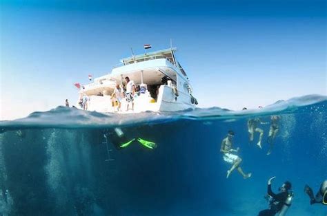 sidive diving centre|Sidive .